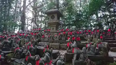 豊川閣　妙厳寺の狛犬