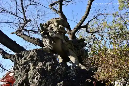 千葉神社の狛犬