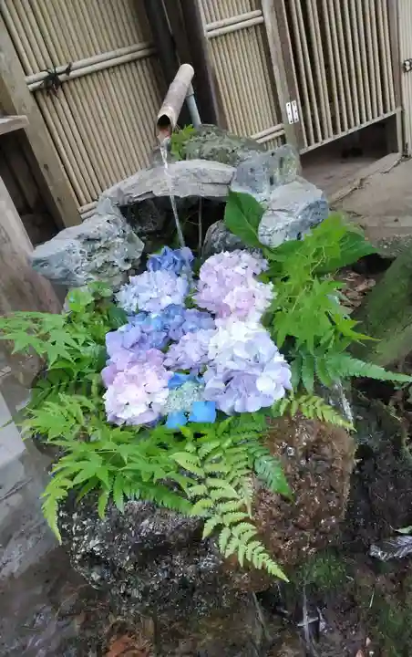 宮地嶽神社の手水舎