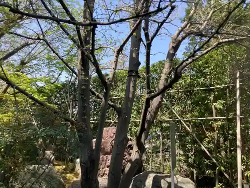 全龍寺(神奈川県)