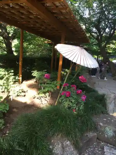 鶴岡八幡宮の庭園