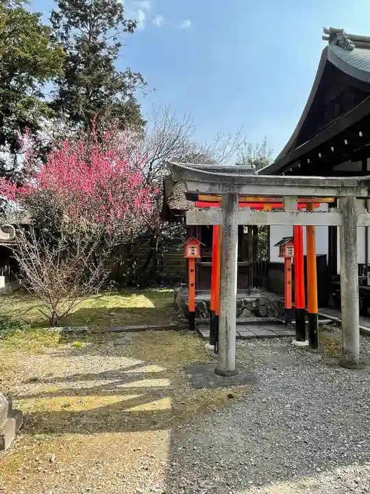 梅宮大社(京都府)