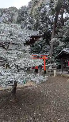 若松神社(滋賀県)