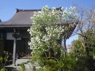 教恩寺のその他建物