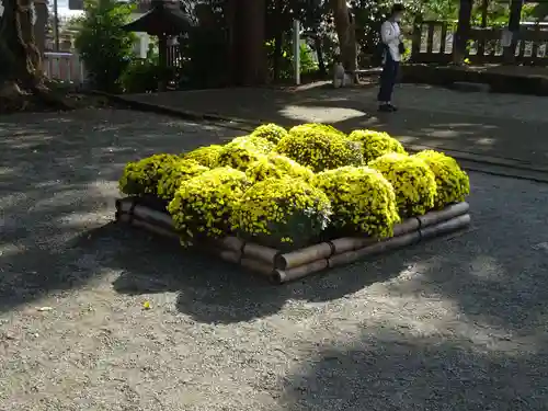 比々多神社の自然