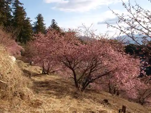 楽法寺（雨引観音）の自然