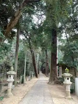 日吉神社の{uncategorized: "未分類", other: "その他", undefined: "問題あり", building: "その他建物", grave: "お墓", sacred_gate: "鳥居", guardian: "狛犬", statue: "像", buddha: "仏像", history: "歴史", nature: "自然", garden: "庭園", animal: "動物", pagoda: "塔", temizu: "手水舎", mountain_gate: "山門・神門", sanctuary: "本殿・本堂", subordinate: "末社・摂社", art: "芸術", scenery: "景色", jizo: "地蔵", ema: "絵馬", goshuin: "御朱印", omikuji: "おみくじ", items: "授与品その他", amulet: "お守り", goshuincho: "御朱印帳", eats: "食事", festival: "お祭り", votive_dance: "神楽", shichigosan: "七五三参", wedding: "結婚式", experience: "体験その他", initially: "初詣", around: "周辺", anti_infection: "感染症対策"}