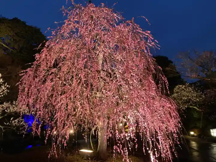長谷寺の{uncategorized: "未分類", other: "その他", undefined: "問題あり", building: "その他建物", grave: "お墓", sacred_gate: "鳥居", guardian: "狛犬", statue: "像", buddha: "仏像", history: "歴史", nature: "自然", garden: "庭園", animal: "動物", pagoda: "塔", temizu: "手水舎", mountain_gate: "山門・神門", sanctuary: "本殿・本堂", subordinate: "末社・摂社", art: "芸術", scenery: "景色", jizo: "地蔵", ema: "絵馬", goshuin: "御朱印", omikuji: "おみくじ", items: "授与品その他", amulet: "お守り", goshuincho: "御朱印帳", eats: "食事", festival: "お祭り", votive_dance: "神楽", shichigosan: "七五三参", wedding: "結婚式", experience: "体験その他", initially: "初詣", around: "周辺", anti_infection: "感染症対策"}