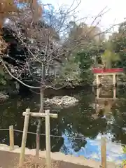 武蔵一宮氷川神社(埼玉県)