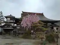 阿弥陀寺の本殿・本堂