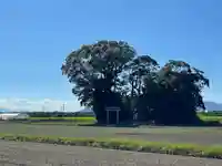 井王三郎神社(熊本県)