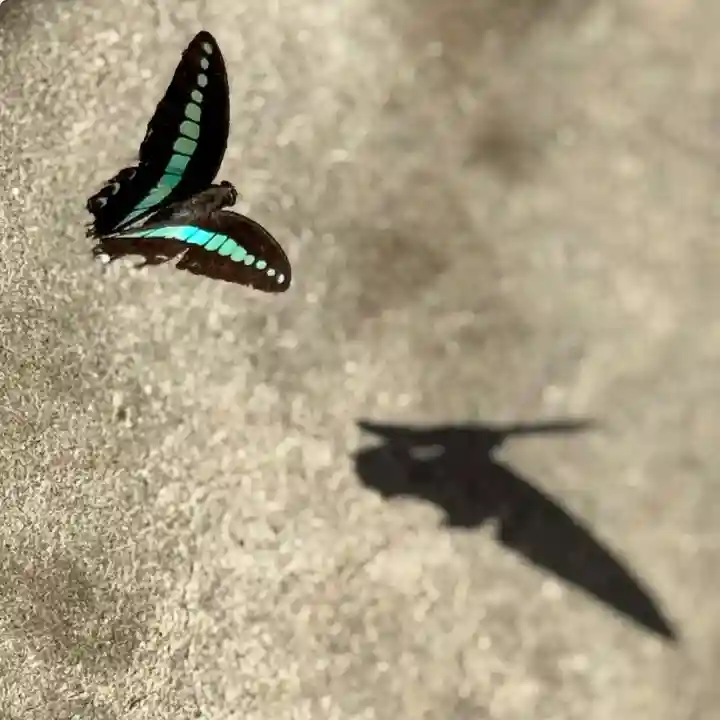 伊勢の国 四天王寺(三重県)