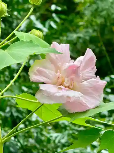 大乗寺(京都府)