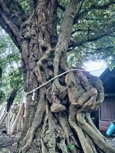 音無神社(静岡県)