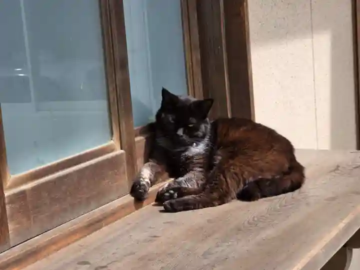 海童神社(佐賀県)