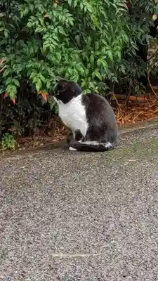 白金氷川神社(東京都)