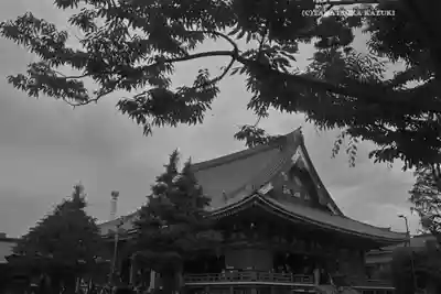 浅草寺(東京都)