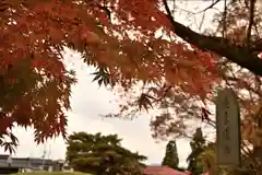 安禅寺(新潟県)