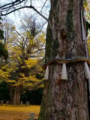 赤坂氷川神社(東京都)