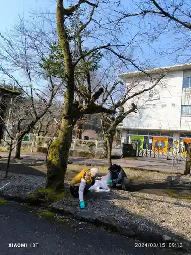 天鷹神社(岐阜県)