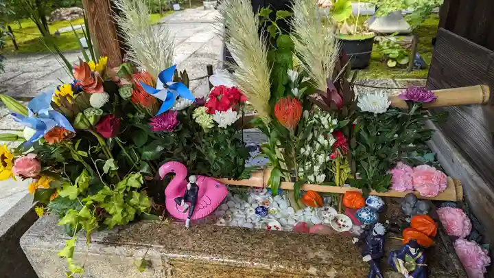 勝林寺(京都府)