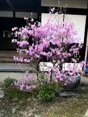 木舟山　順教寺の庭園