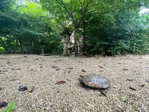 山王宮日吉神社のその他建物