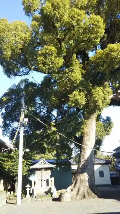 須田神社の自然