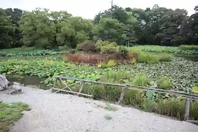 勧修寺(京都府)