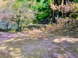 土津神社|こどもと出世の神さまの自然(2020年05月05日(火) 10時26分43秒投稿)