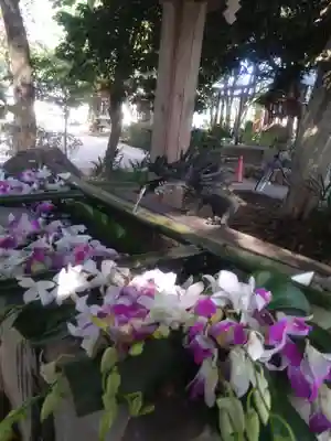 北本氷川神社(埼玉県)