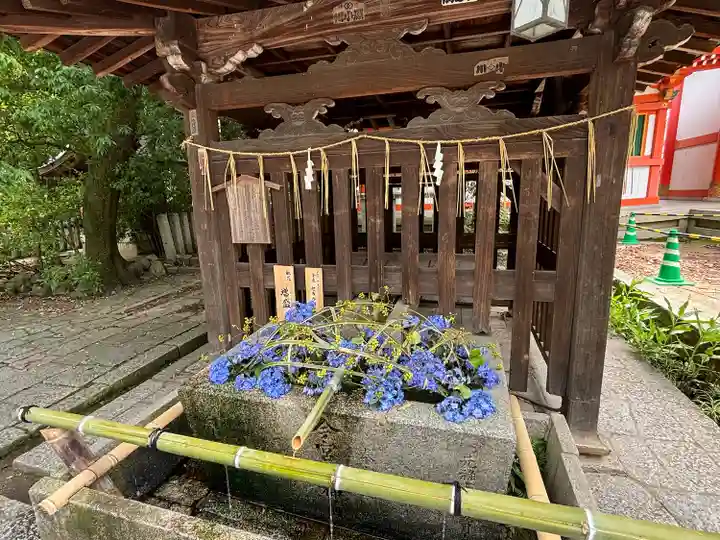 今宮神社(京都府)