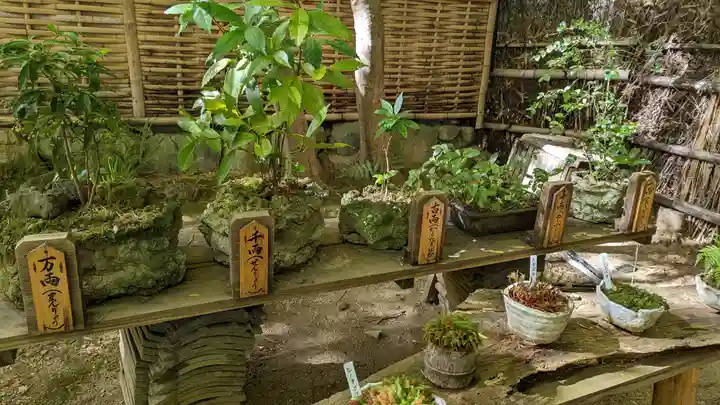 祇王寺(京都府)