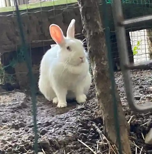 太子堂八幡神社(東京都)