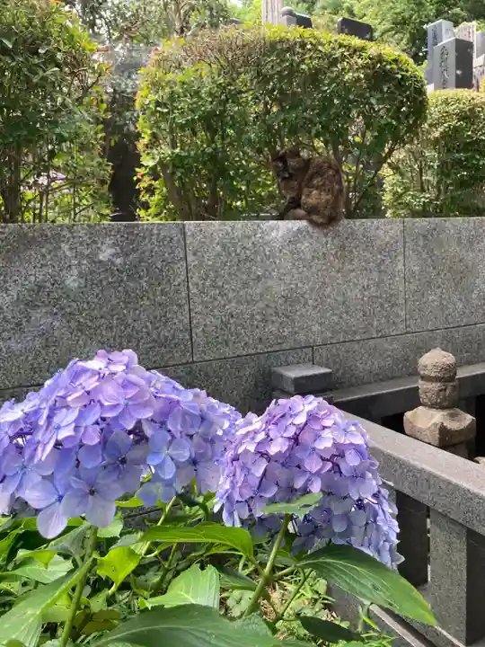 妙楽寺(神奈川県)