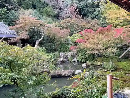 実相院門跡(京都府)