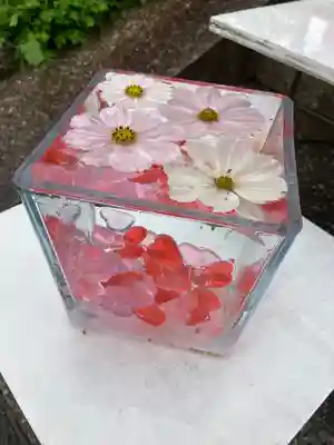 般若寺 ❁﻿コスモス寺❁(奈良県)