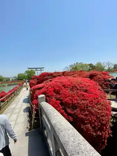 長岡天満宮の庭園