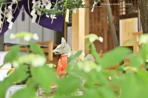 五十稲荷神社(栄寿稲荷神社)(東京都)