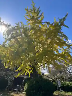 根来寺(和歌山県)