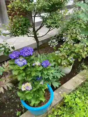 松嶺院(神奈川県)