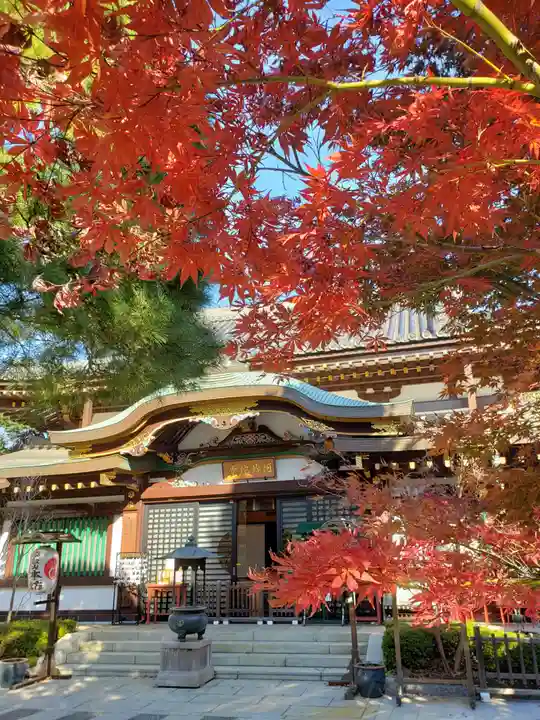 瀧泉寺(目黒不動尊)(東京都)