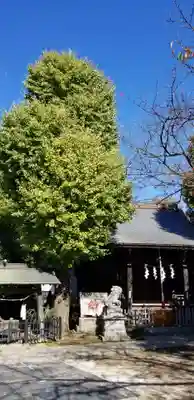 春日神社(千葉県)