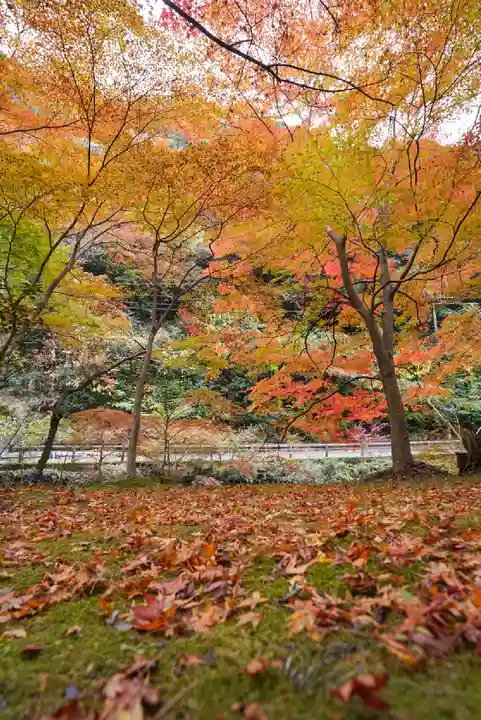大寧寺(山口県)