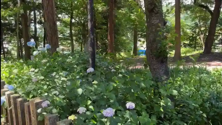 飯笠山神社の自然