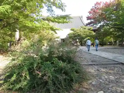 真正極楽寺(真如堂)のその他建物