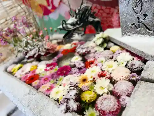 札幌諏訪神社の手水舎