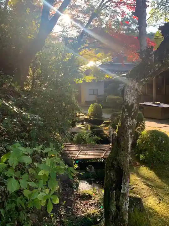 楠妣庵観音寺(大阪府)