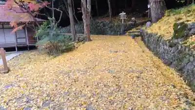 出雲大神宮(京都府)