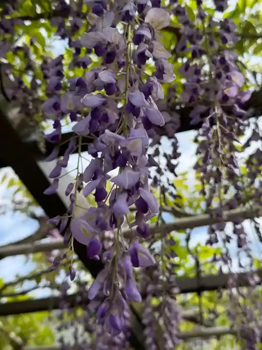 西方山極楽寺(岐阜県)